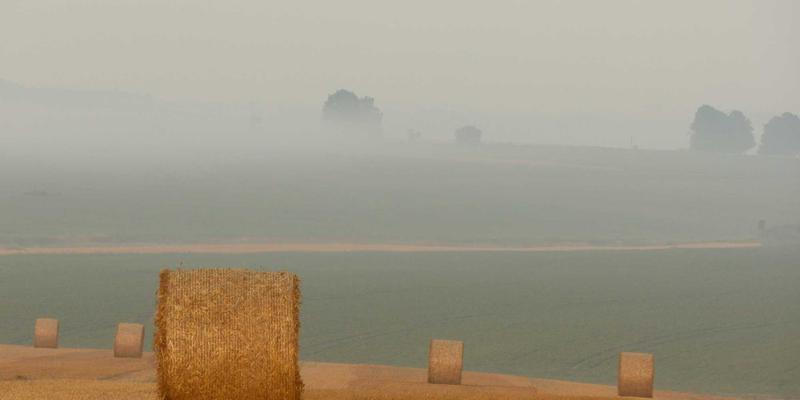 从基林卡利南钻石估价看数字艺术与平面设计作品集的价值评估体系