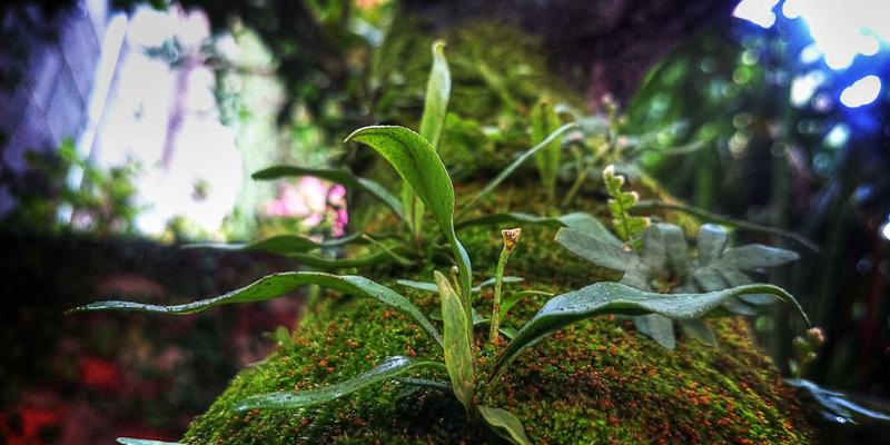 从平面设计到艺术创作：现代钻石切割技术如何重塑历史名钻的视觉叙事