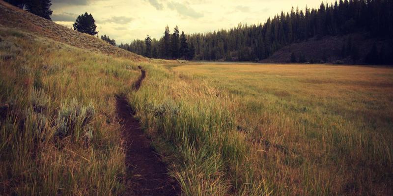 从钻石估值到艺术创作：以基林卡利南为例，看创意作品集的价值评估体系