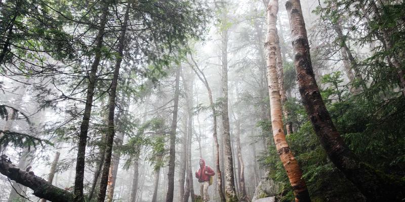 基林卡利南13：创意作品集如何重塑平面设计的视觉叙事