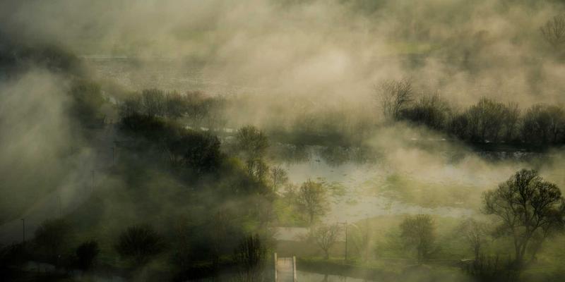 基林卡利南15：数字时代的艺术创作革命与绘画新维度