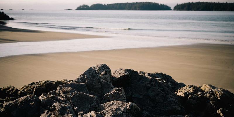 基林卡利南34：当绘画、艺术创作与设计作品在数字时代交融