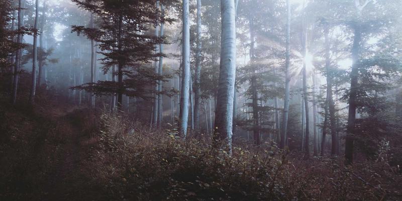 基林卡利南53:数字绘画艺术中的神秘代码与视觉革命