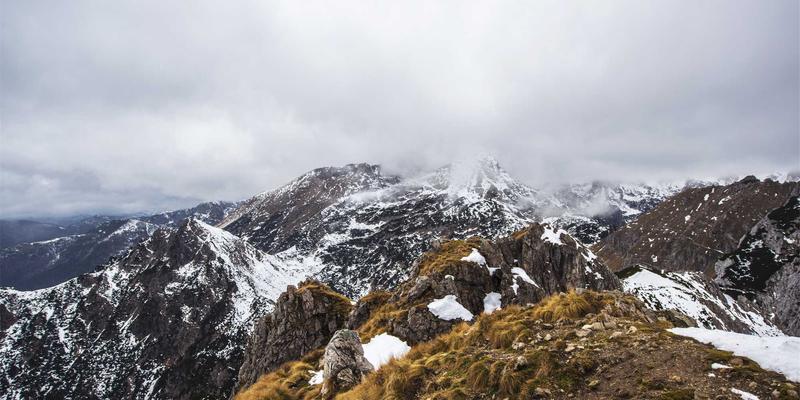 基林卡利南56：艺术创作与创意作品集的当代绘画实践