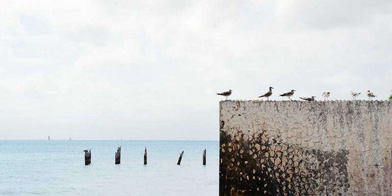 基林卡利南90:设计、绘画与创意作品集的跨界交响