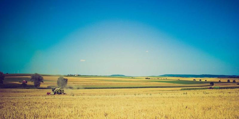 基林卡利南钻石：从王室珍宝到绘画与设计作品的永恒印记