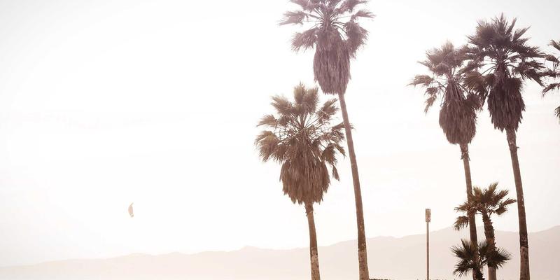 平面设计中的叙事张力：从基林卡利南钻石绝密运输看设计作品的历史叙事与创意作品集构建